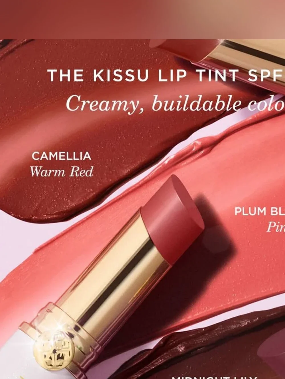 🧚‍♀️CAMELLIA Tatcha DISCONTINUED Kissu Lip Tint NWT